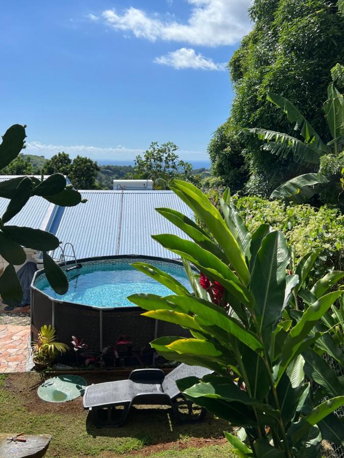 Villa Iguana, Duplex Paisible, Vue Magnifique Mer Et Rocher Du Diamant, Piscine Sainte-Luce Zewnętrze zdjęcie